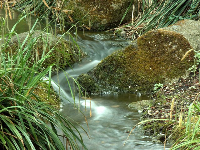 Bächlein zwischen Steinen mit Gras und Moos